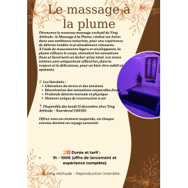 Le massage à la plume 1h